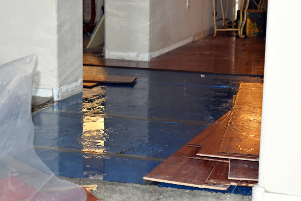 Professional Basement Flood Cleanup technician working in Holly Springs, MS